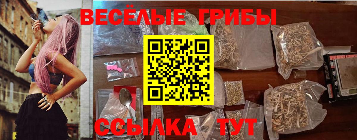Псилоцибиновые грибы мухоморы Кимовск