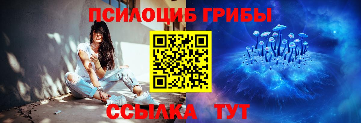 Галлюциногенные грибы Psilocybine cubensis  Псилоцибиновые грибы прущие грибы  Кимовск  Вход с VPN 